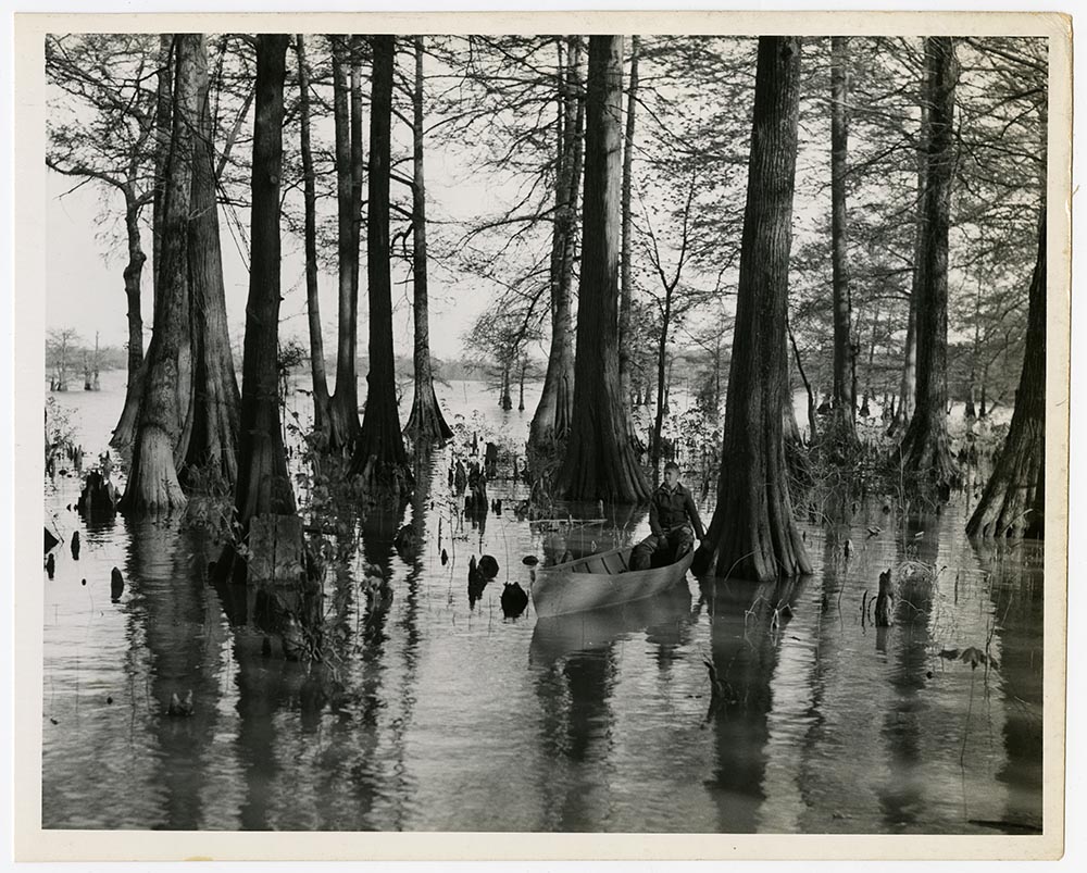 Reelfoot Lake