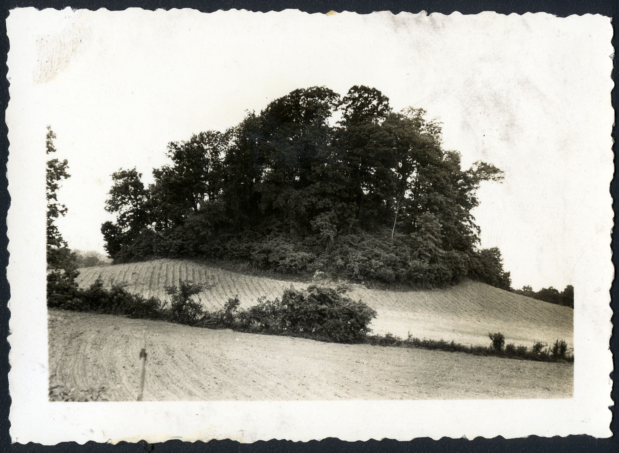 Saul’s Mound, which stands at 72 feet, at Pinson Mounds State Archaeological Park.